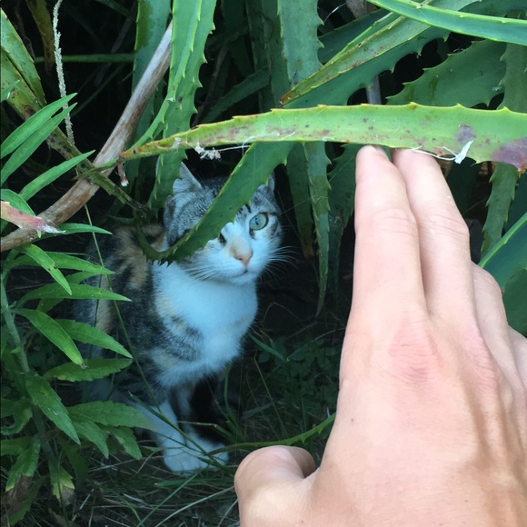 Meet your Posher, Jason - Picture 4 of 7